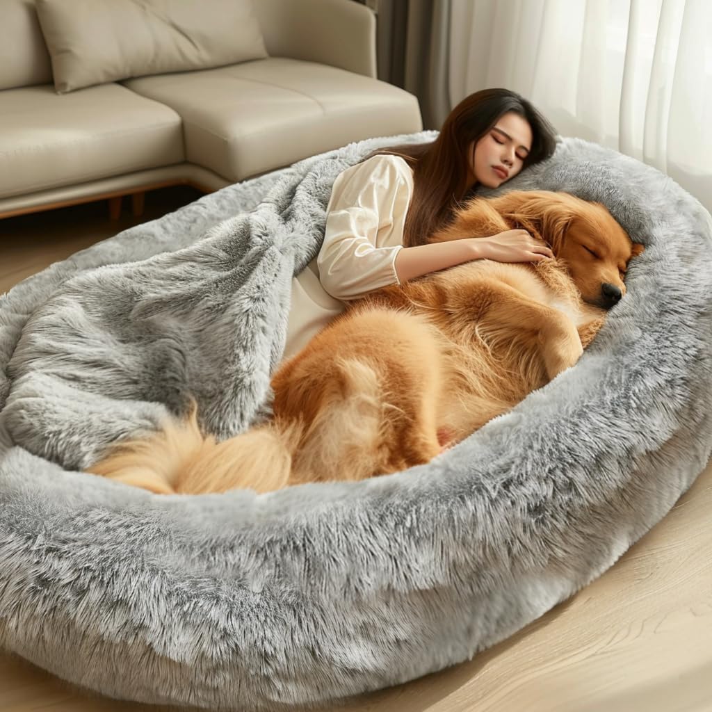 Human Bed Dog Bed Store